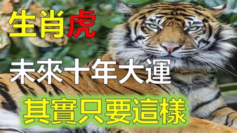 2023屬虎運勢1974|1974年屬虎人2023年運勢及運程 74年49歲生肖虎2023年全年每月。